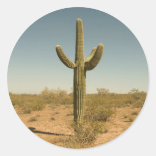 Lone Cactus Runder Aufkleber