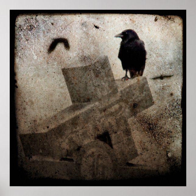 Lone Crow Poster (Vorne)