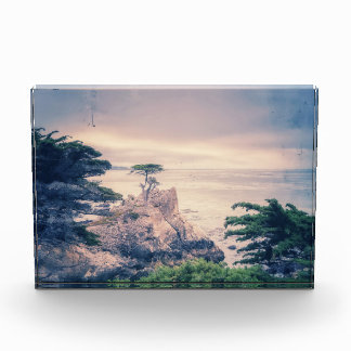 Lone Cypress Carmel by the Sea Fotoblock