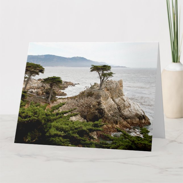 LONE CYPRESS Jumbo Grußkarte Karte (Vorderseite)