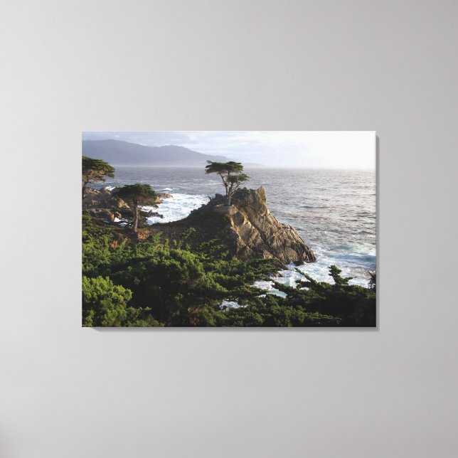Lone Cypress - Leinenprint Leinwanddruck (Vorderseite)