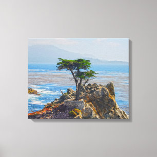 Lone Cypress, Monterey, California Canvas Print Leinwanddruck