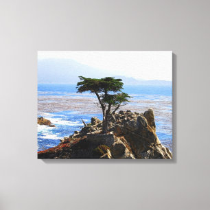 Lone Cypress, Monterey, California Leinwanddruck