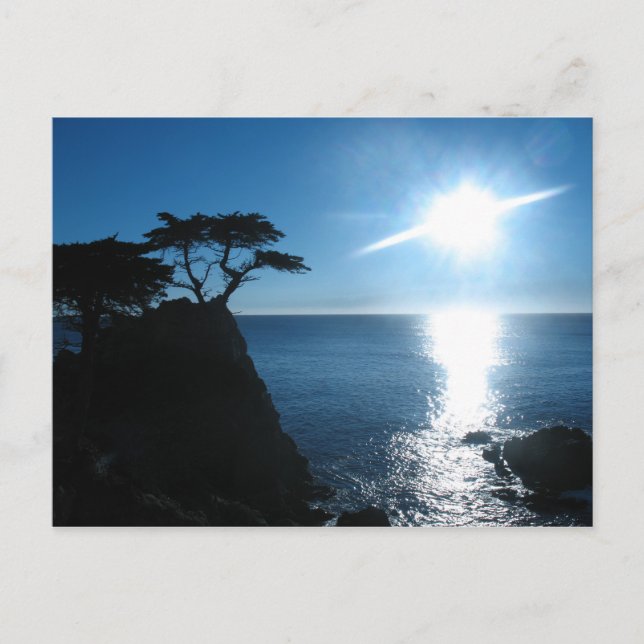 Lone Cypress Postkarte (Vorderseite)