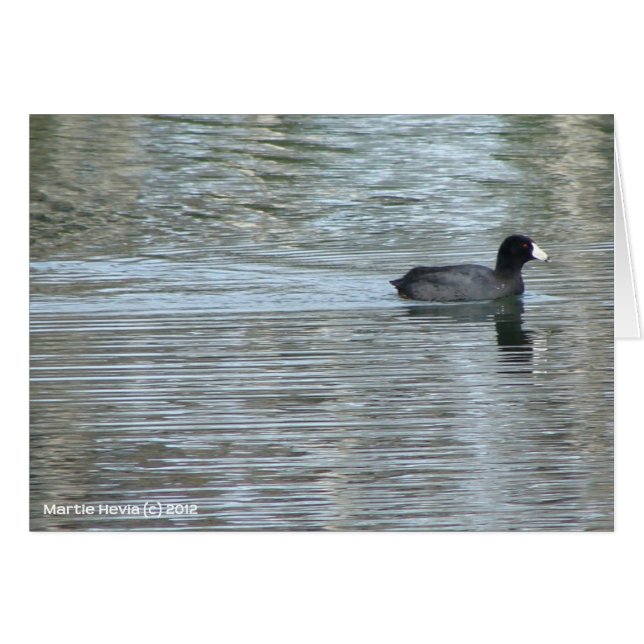 Lone Duck II (Vorderseite (Horizontal))