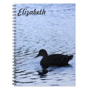 Lone Duck Wildlife Lake Water Ripples Fotografie Notizblock