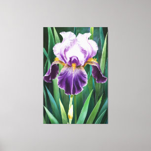 *~* Lone Iris Blume Künstlerisch Iris Malerei AP84 Leinwanddruck