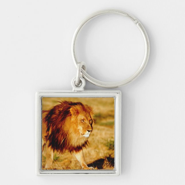 Lone Lion Schlüsselanhänger (Vorne)