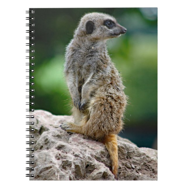 Lone Meerkat Notebook Notizblock (Vorderseite)