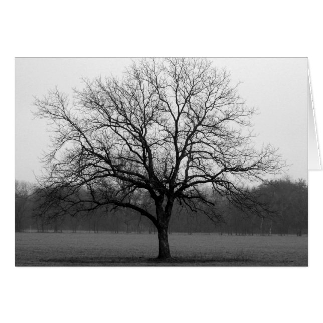 Lone Oak (Vorderseite (Horizontal))