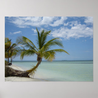Lone Palm am kubanischen Strand Poster