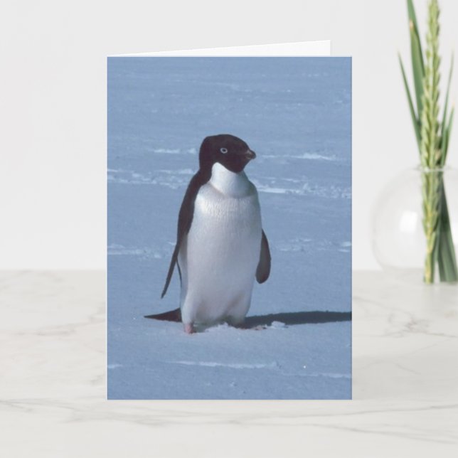 Lone Penguin im Schnee Dankeskarte (Vorderseite)