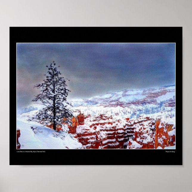 Lone Pine in a Painted Sky - Fine Art Poster (Vorne)