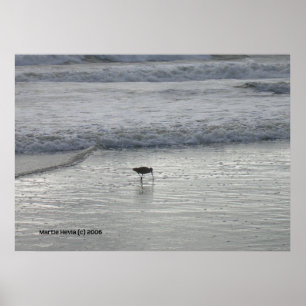 Lone Sandpiper am Strand von Watsonville Poster