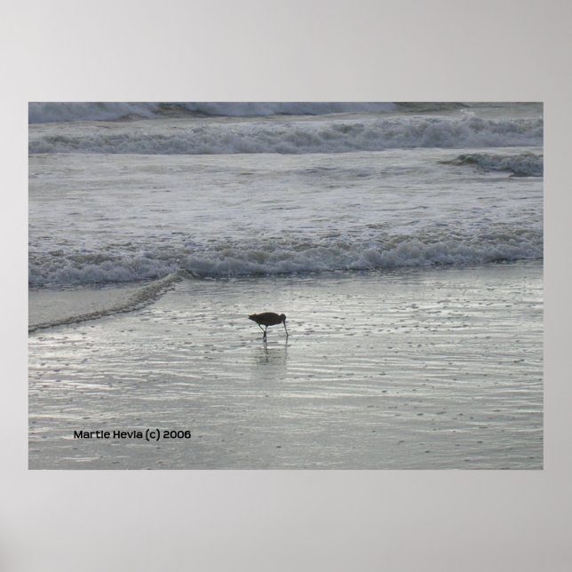 Lone Sandpiper am Strand von Watsonville Poster (Vorne)