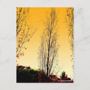 "Lone Sentinel" Postkarte