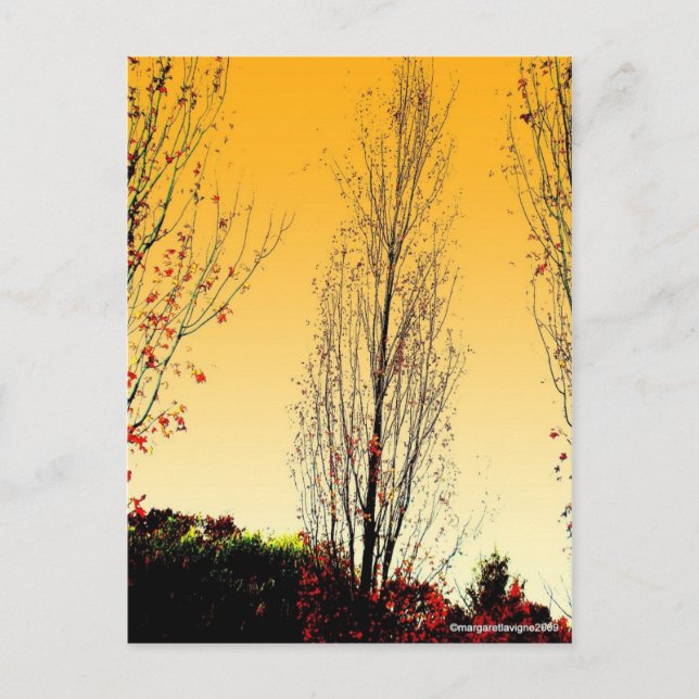 "Lone Sentinel" Postkarte (Vorderseite)