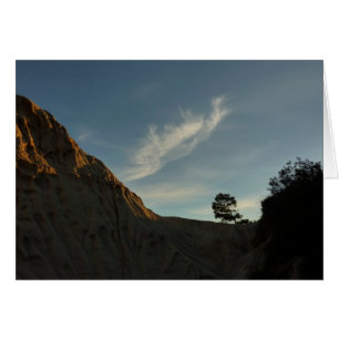 Lone Torrey Pine California Sunset Landschaft