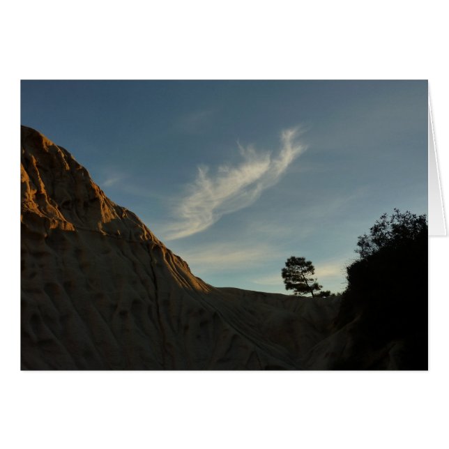 Lone Torrey Pine California Sunset Landschaft (Vorderseite (Horizontal))