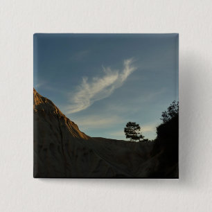 Lone Torrey Pine California Sunset Landschaft Button