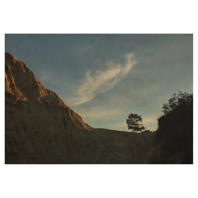 Lone Torrey Pine California Sunset Landschaft Holzposter (Vorderseite)