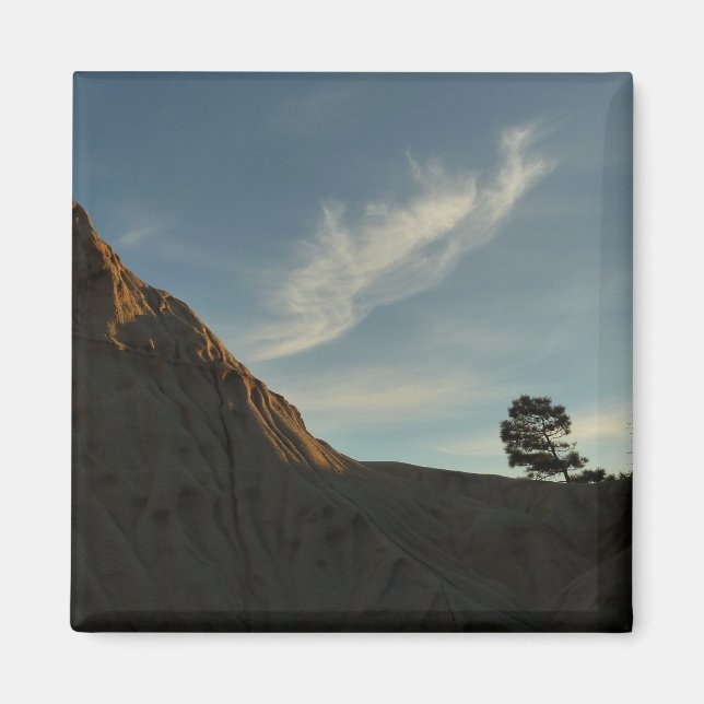 Lone Torrey Pine California Sunset Landschaft Magnet (Vorne)