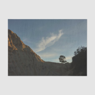 Lone Torrey Pine California Sunset Landschaft Seidenpapier