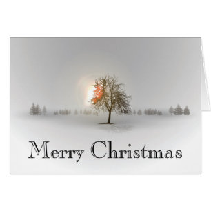 Lone Tree Christmas Card