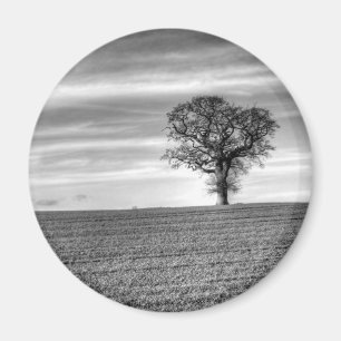 Lone Tree Magnet