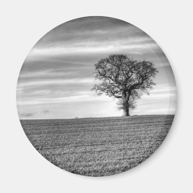 Lone Tree Magnet (Vorne)