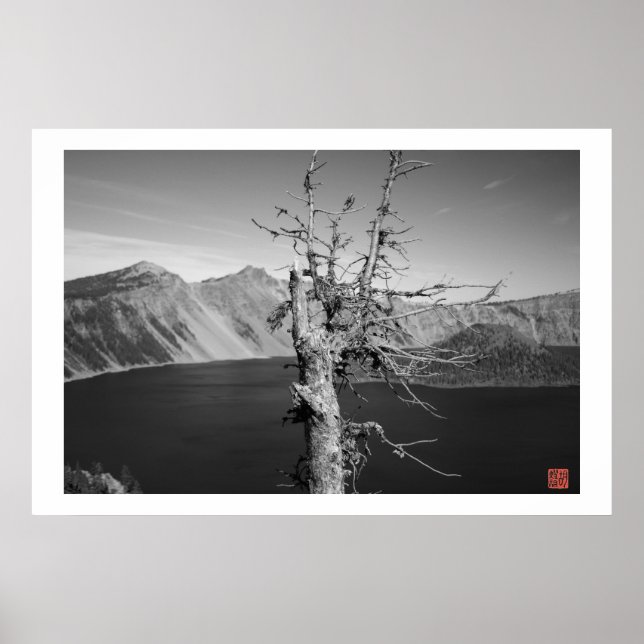 Lone Tree Poster (Vorne)