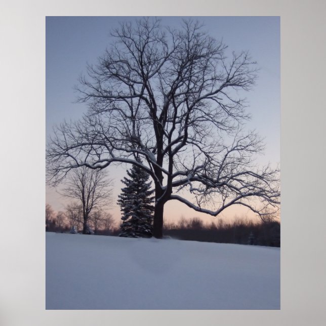 Lone Tree Poster (Vorne)