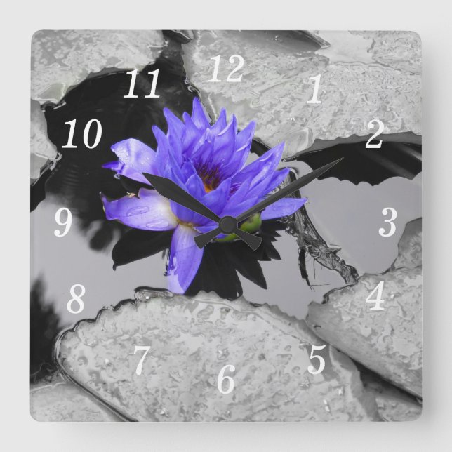 Lone Water Lily Wall Uhr (Vorderseite)
