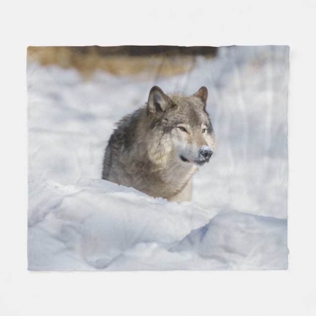 Lone Wolf im Schnee Fleecedecke (Vorderseite (Horizontal))