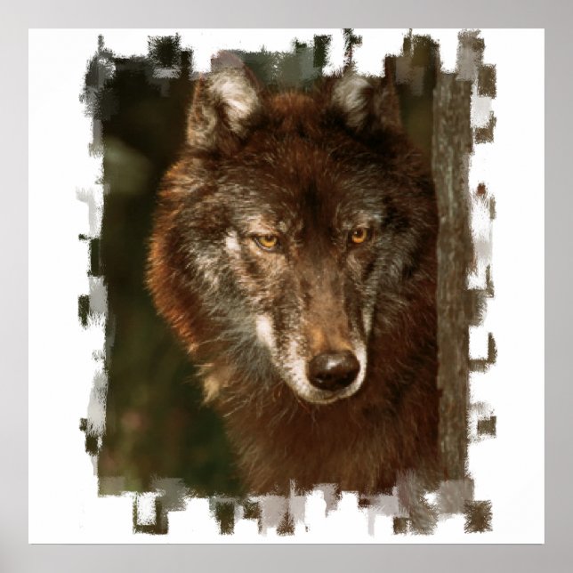 Lone Wolf Poster (Vorne)
