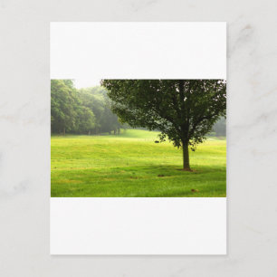 Lone Wolf Postkarte