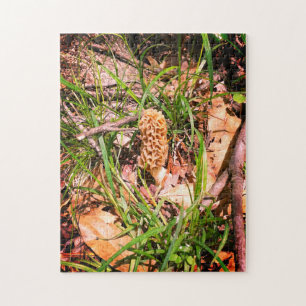 Lone Yellow Morel Puzzle