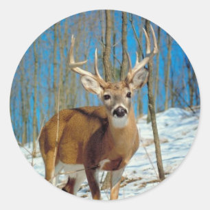 Loneley Reindeer Runder Aufkleber