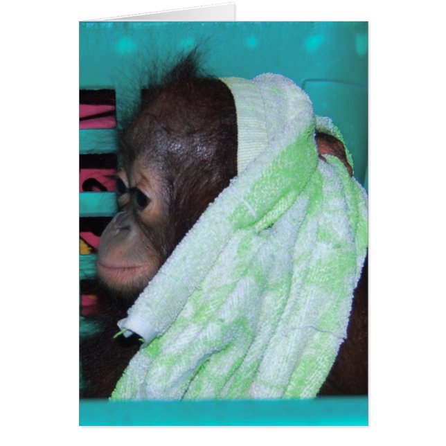 Lonely Baby Orangutan (Vorne)
