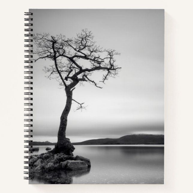 Lonely Bare Tree Notizbuch (Vorderseite)