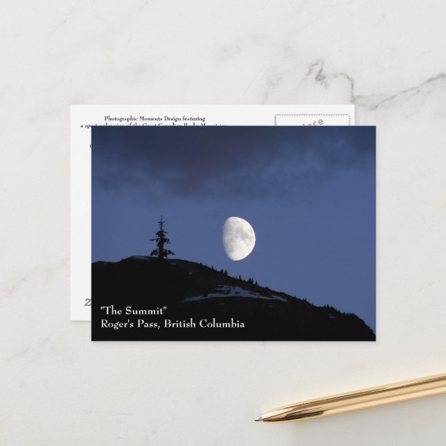 Lonely Companion Postcard Postkarte (Vorderseite/Rückseite Beispiel)