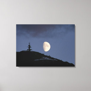 Lonely Companion Stretch Canvas Print Leinwanddruck