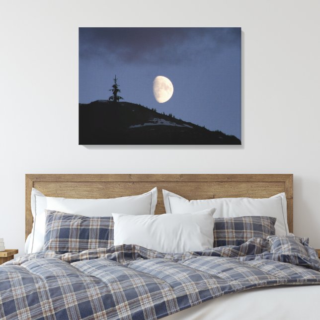 Lonely Companion Stretch Canvas Print Leinwanddruck (Insitu (Schlafzimmer))