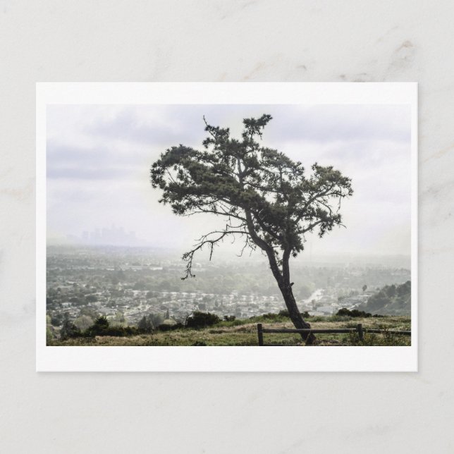 Lonely Freakin Tree Postkarte (Vorderseite)