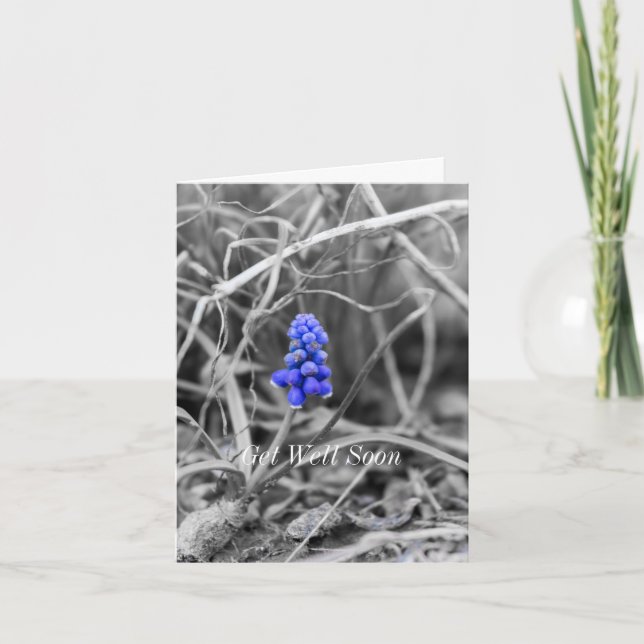 Lonely Graf Hyacinth Wählen Sie Farbe wird gut Karte (Vorderseite)
