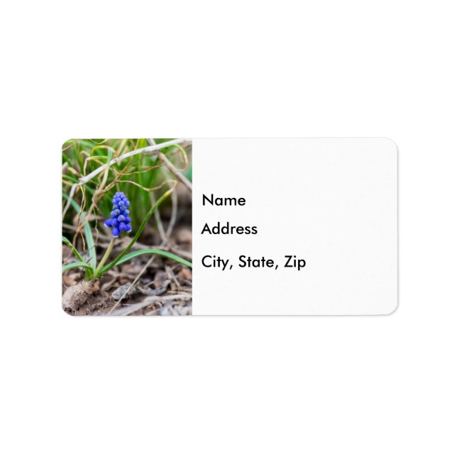 Lonely Grape Hyacinth Adressaufkleber (Vorne)