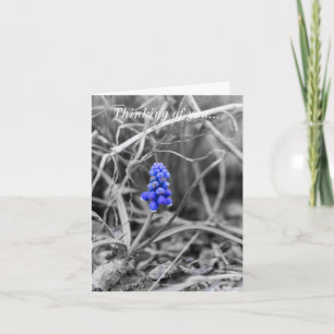 Lonely Grape Hyacinth Wählen Sie die Farbe des Den Karte