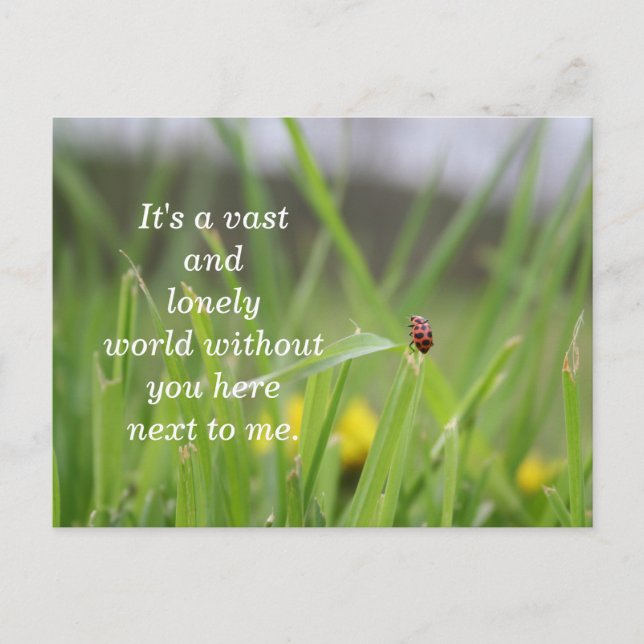 [Lonely Ladybug] Vermisst Postkarte (Vorderseite)