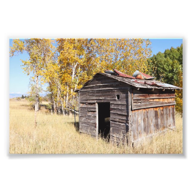 Lonely Little Shed Fotodruck (Vorne)