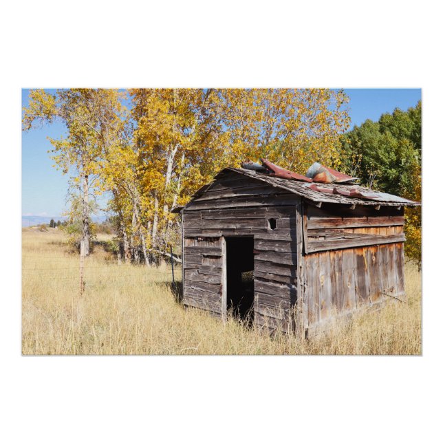 Lonely Little Shed Poster (Vorderseite)